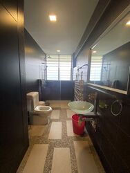 Lakeside Tower (D22), Apartment #450388851